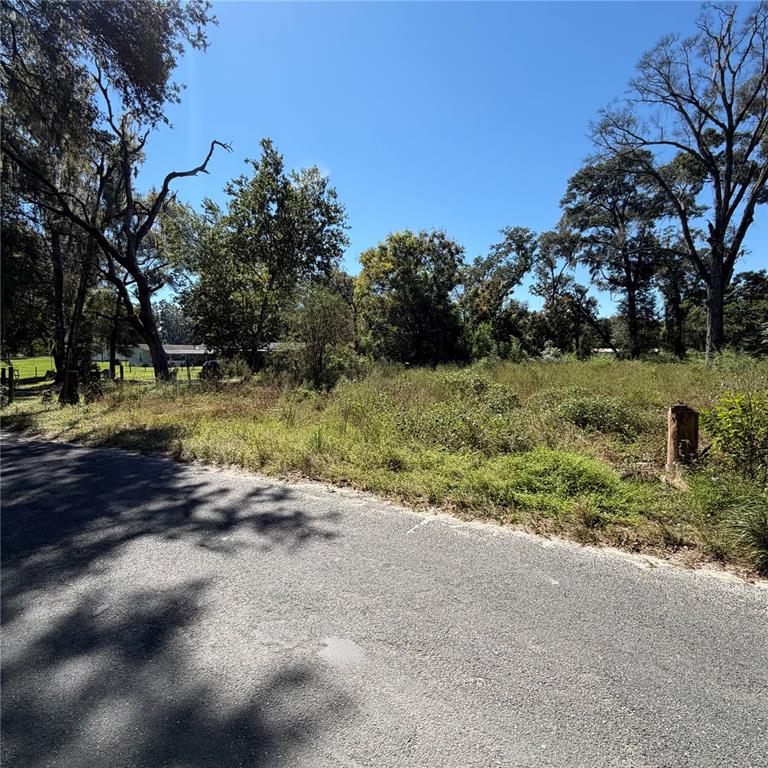 Property for sale at 16612 SE 25TH AVENUE, SUMMERFIELD, FL, 34491
