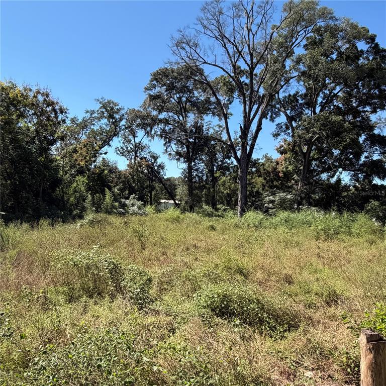 Property for sale at 16612 SE 25TH AVENUE, SUMMERFIELD, FL, 34491