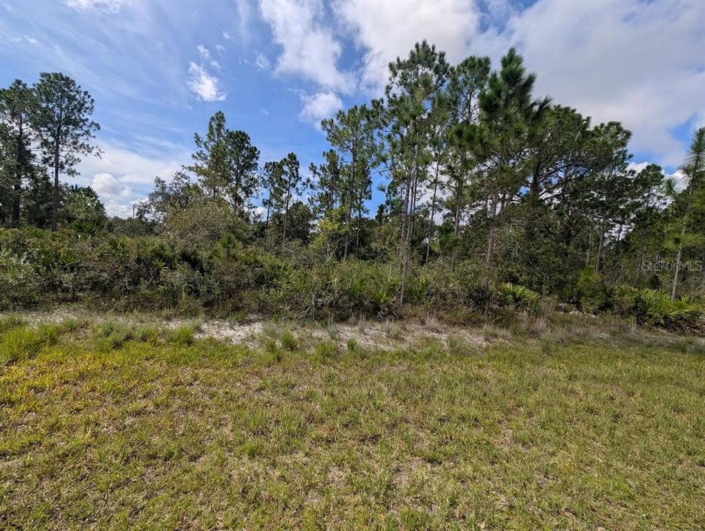 Property for sale at OLEANDER DRIVE, INDIAN LAKE ESTATES, FL, 33855