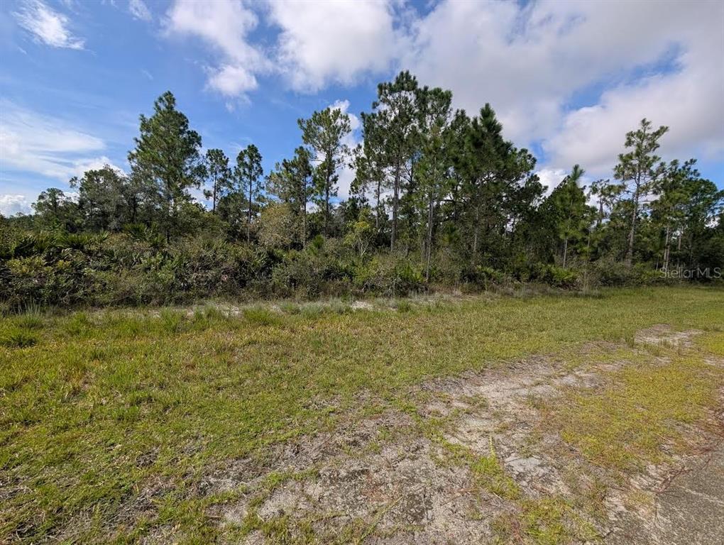 Property for sale at OLEANDER DRIVE, INDIAN LAKE ESTATES, FL, 33855