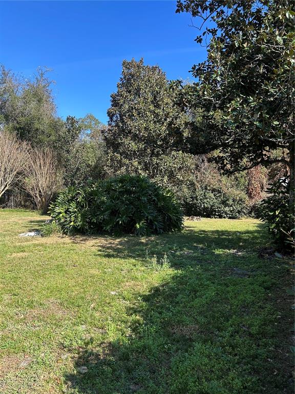 Front yard, looking to the east