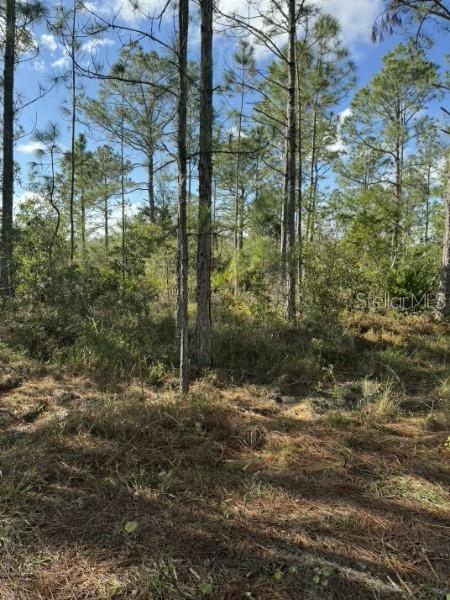 Property for sale at TBD, FROSTPROOF, FL, 33843