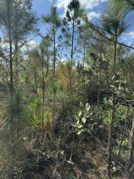 Property for sale at TBD, FROSTPROOF, FL, 33843