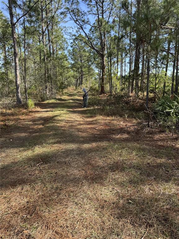 Property for sale at TBD, FROSTPROOF, FL, 33843