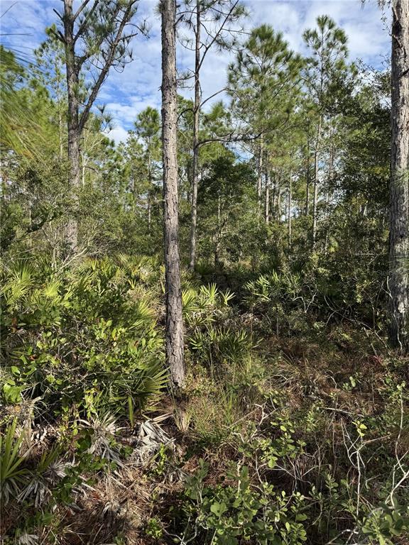Property for sale at TBD, FROSTPROOF, FL, 33843