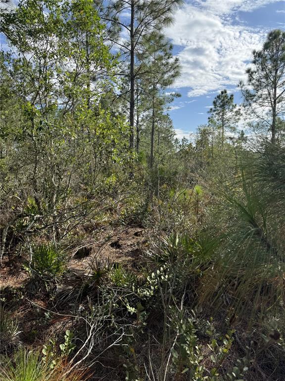 Property for sale at TBD, FROSTPROOF, FL, 33843