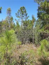 Property for sale at SALYERS ROAD, CLERMONT, FL, 34714