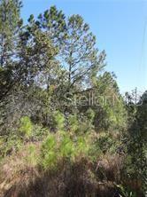 Property for sale at SALYERS ROAD, CLERMONT, FL, 34714