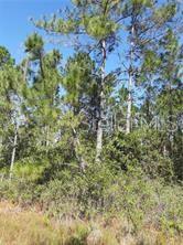 Property for sale at SALYERS ROAD, CLERMONT, FL, 34714