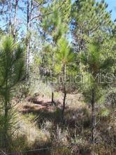Property for sale at SALYERS ROAD, CLERMONT, FL, 34714