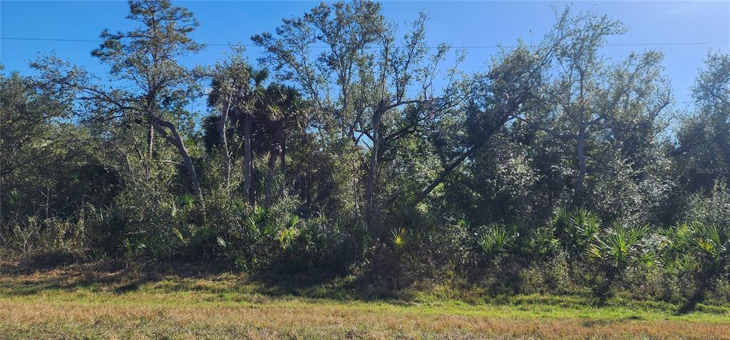 Property for sale at 1173 BISCAYNE DRIVE, PORT CHARLOTTE, FL, 33953