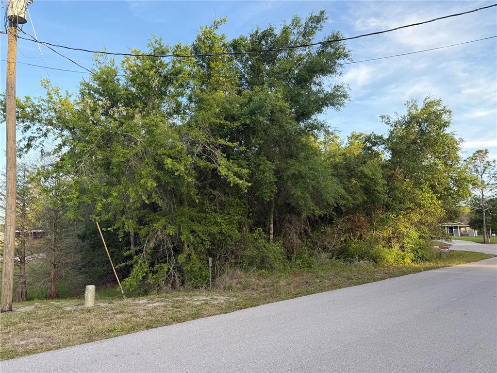 Property for sale at MAGNOLIA CIRCLE, LAKE WALES, FL, 33898