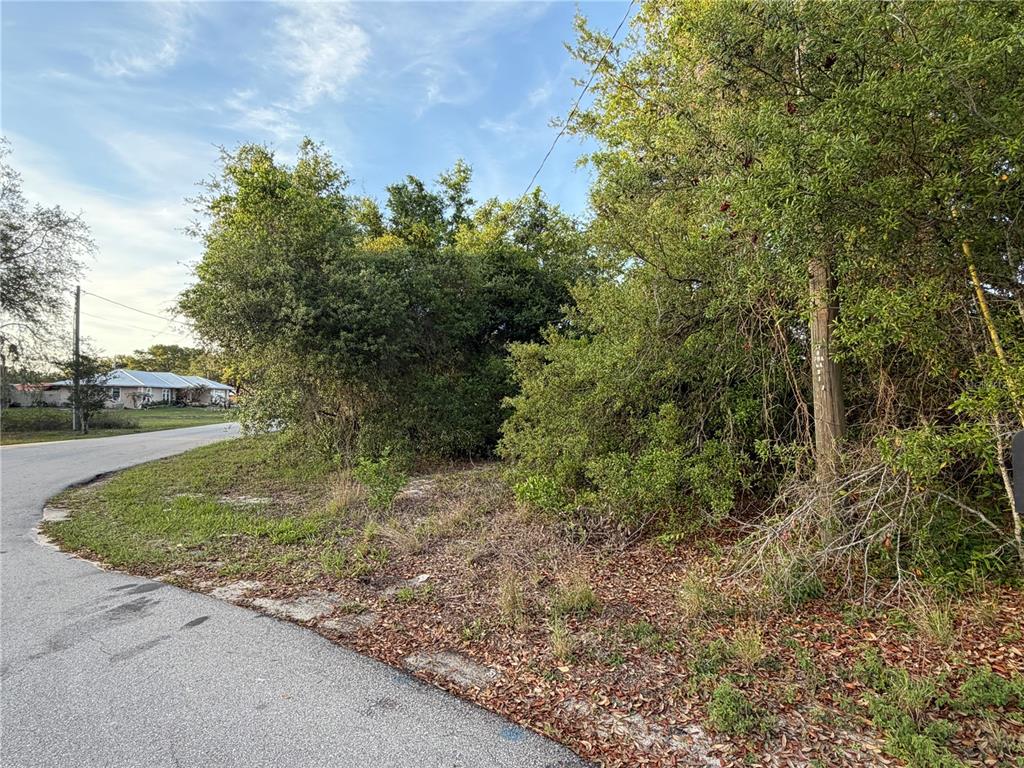 Property for sale at MAGNOLIA CIRCLE, LAKE WALES, FL, 33898
