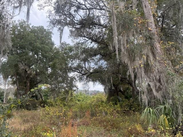 Property for sale at SE 175TH TERRACE, SILVER SPRINGS, FL, 34488
