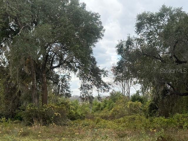 Property for sale at SE 175TH TERRACE, SILVER SPRINGS, FL, 34488