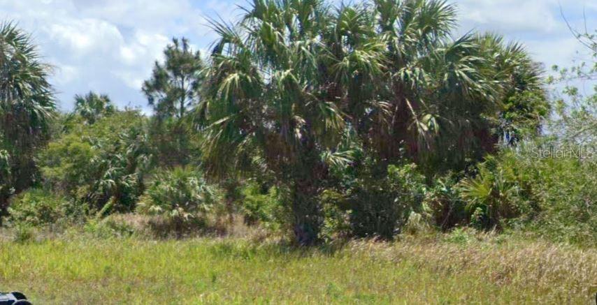 Property for sale at 896 LAIKA ROAD SW, PALM BAY, FL, 32908