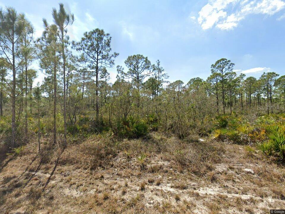 Property for sale at 1140 HERON STREET, LAKE PLACID, FL, 33852
