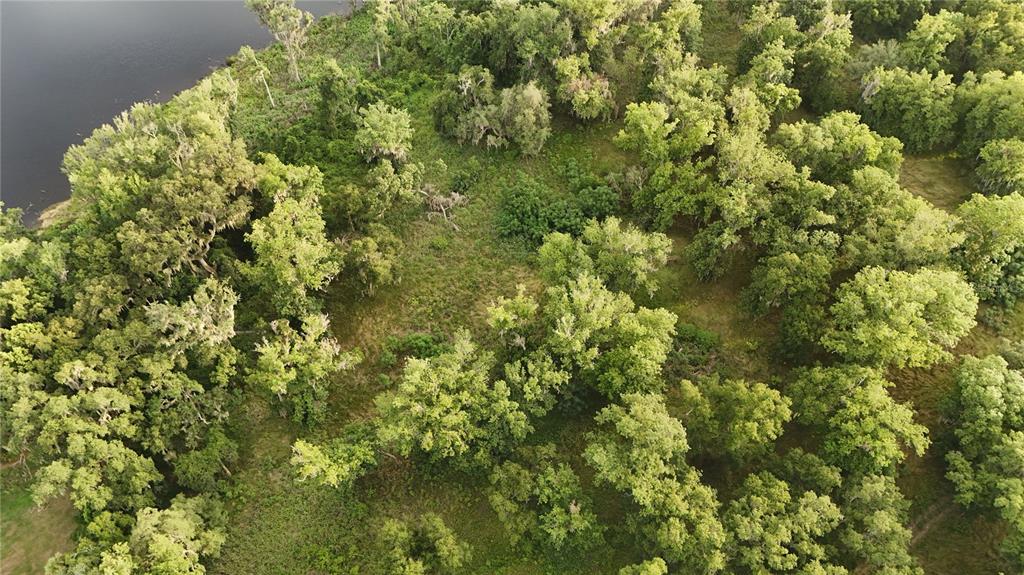 Property for sale at 37625 N COUNTY ROAD 44A, EUSTIS, FL, 32726