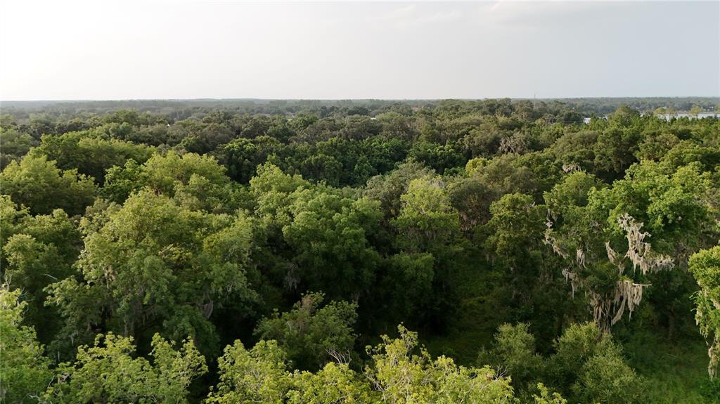 Property for sale at 37625 N COUNTY ROAD 44A, EUSTIS, FL, 32726