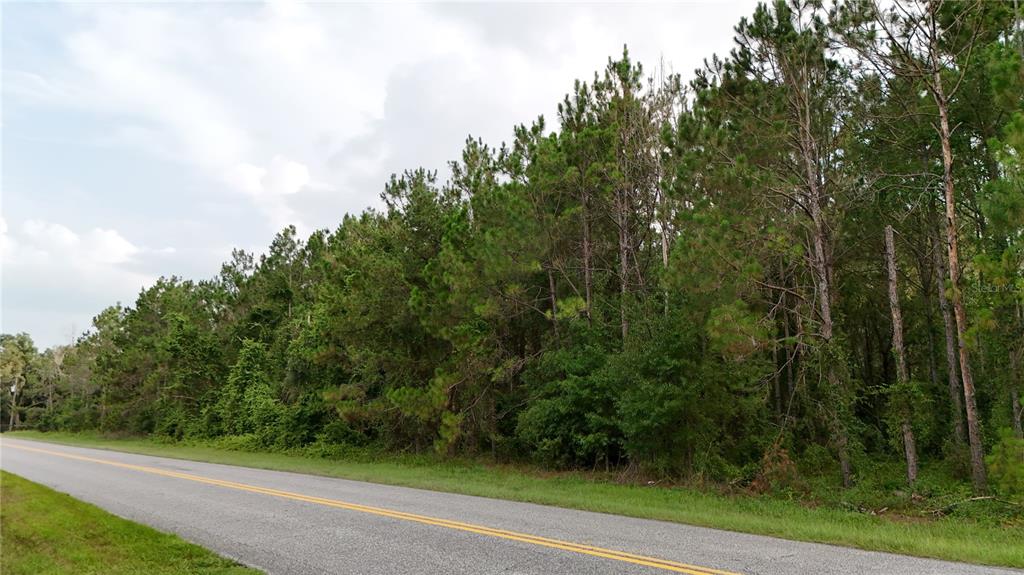 Property for sale at 37625 N COUNTY ROAD 44A, EUSTIS, FL, 32726