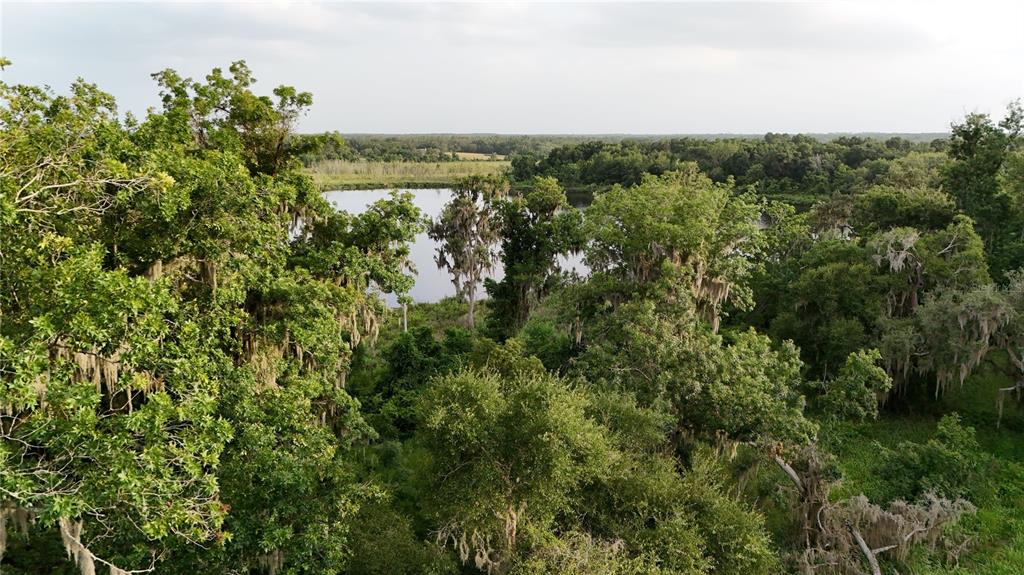 Property for sale at 37625 N COUNTY ROAD 44A, EUSTIS, FL, 32726