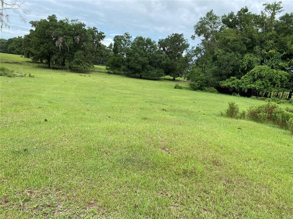 Property for sale at 17249 NE 9TH AVENUE, CITRA, FL, 32113