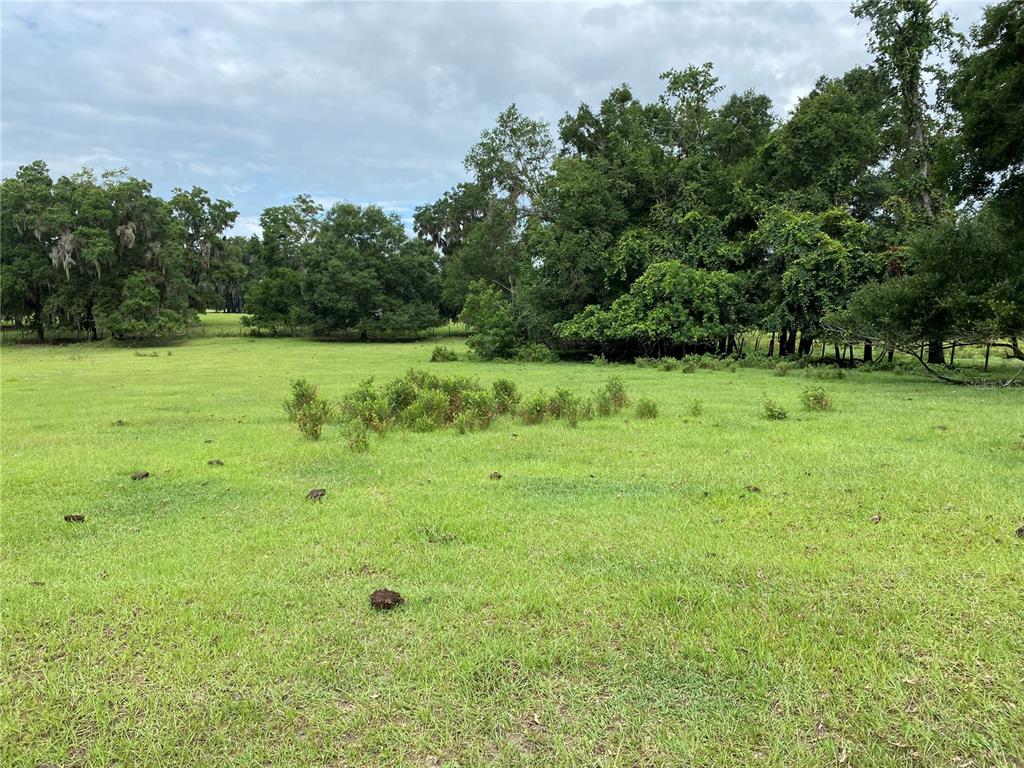 Property for sale at 17249 NE 9TH AVENUE, CITRA, FL, 32113