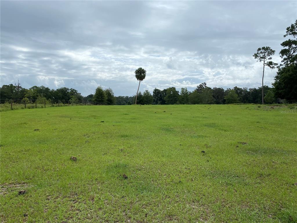Property for sale at 17249 NE 9TH AVENUE, CITRA, FL, 32113