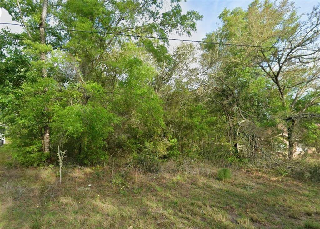 Property for sale at 8280 N GALENA AVENUE, CITRUS SPRINGS, FL, 34434
