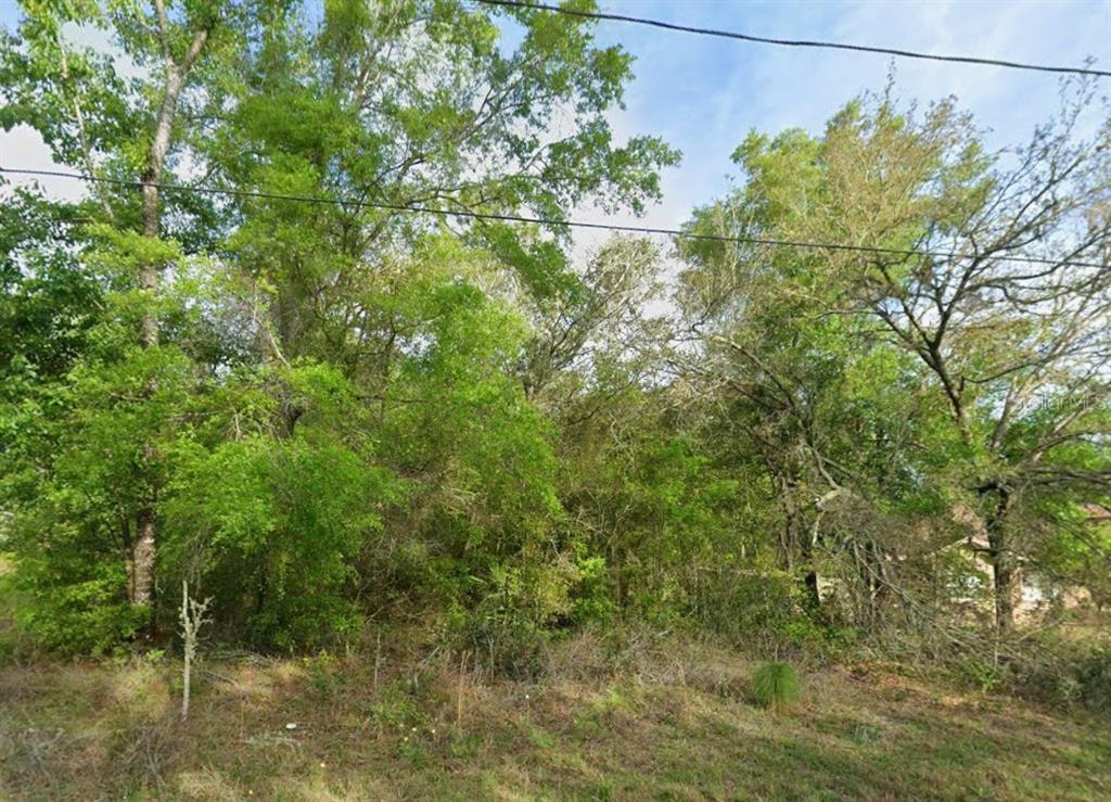 Property for sale at 8280 N GALENA AVENUE, CITRUS SPRINGS, FL, 34434