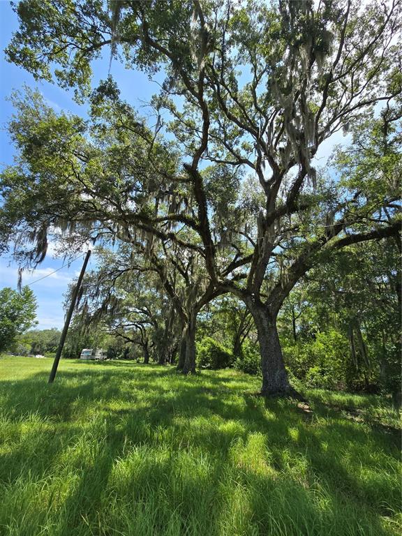 Property for sale at 7563 SE COUNTY ROAD 405, BRANFORD, FL, 32008