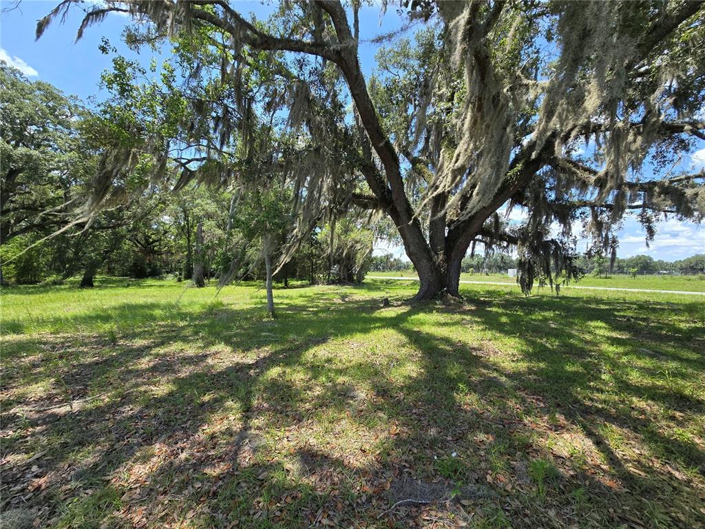 Property for sale at 7563 SE COUNTY ROAD 405, BRANFORD, FL, 32008
