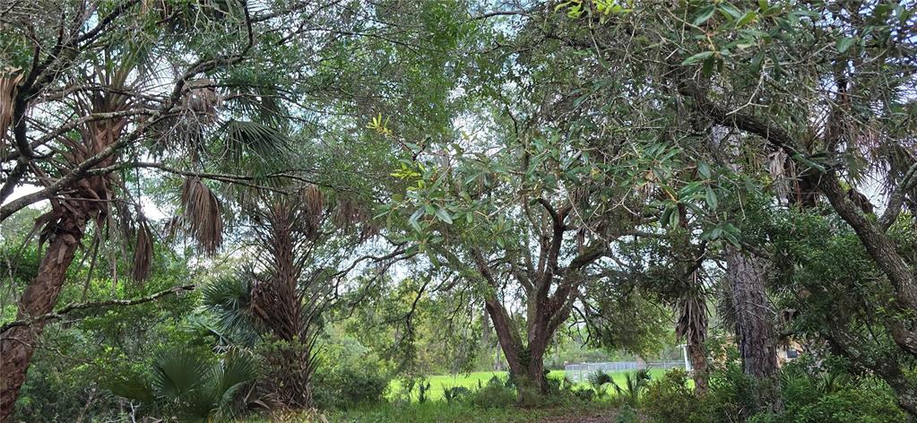 Property for sale at 6150 SW 126TH AVENUE, CEDAR KEY, FL, 32625