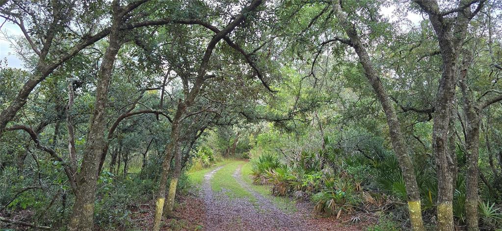 Property for sale at 6150 SW 126TH AVENUE, CEDAR KEY, FL, 32625