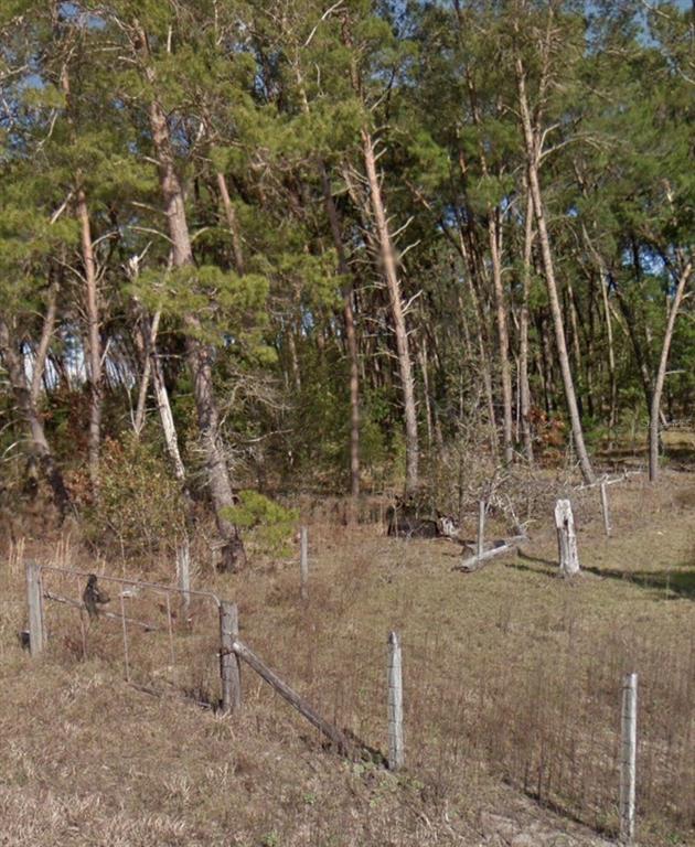 Property for sale at SE 140 AVENUE, WILLISTON, FL, 32696