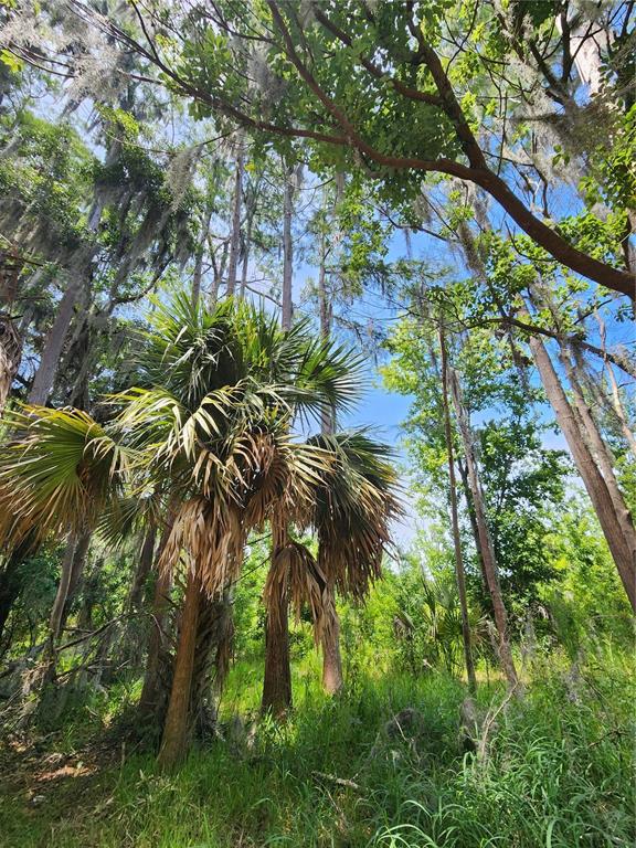 Property for sale at 16950 ARROWHEAD BOULEVARD, WINTER GARDEN, FL, 34787