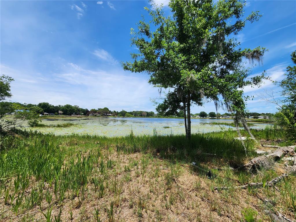 Property for sale at 16950 ARROWHEAD BOULEVARD, WINTER GARDEN, FL, 34787