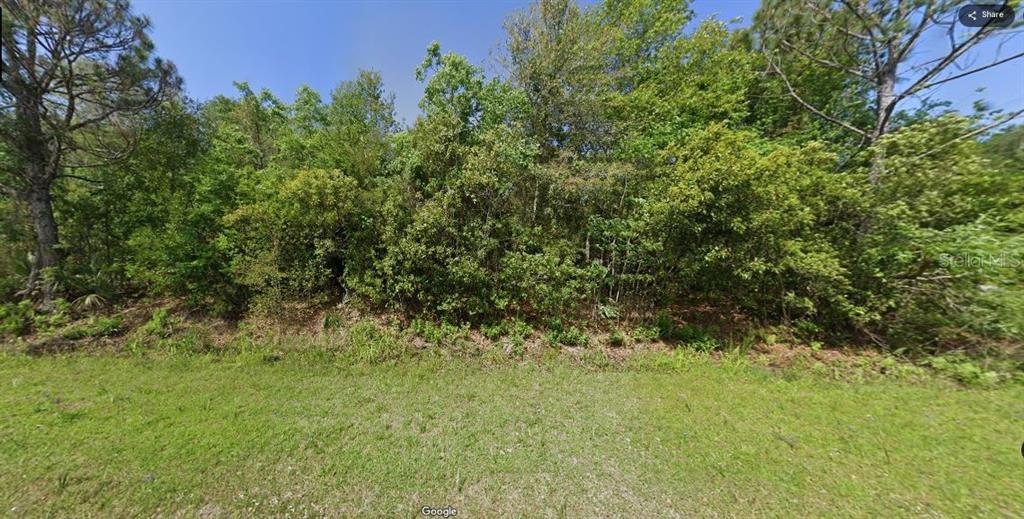 Property for sale at PARADISE LAKES AVENUE, GEORGETOWN, FL, 32139