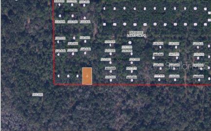 Property for sale at PARADISE LAKES AVENUE, GEORGETOWN, FL, 32139