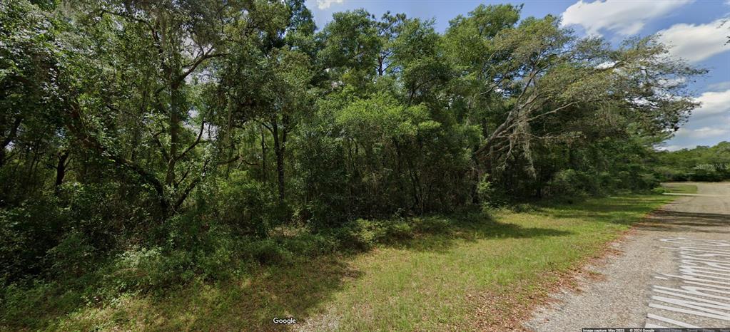 Property for sale at 282 W WHITMARSH COURT, DUNNELLON, FL, 34434