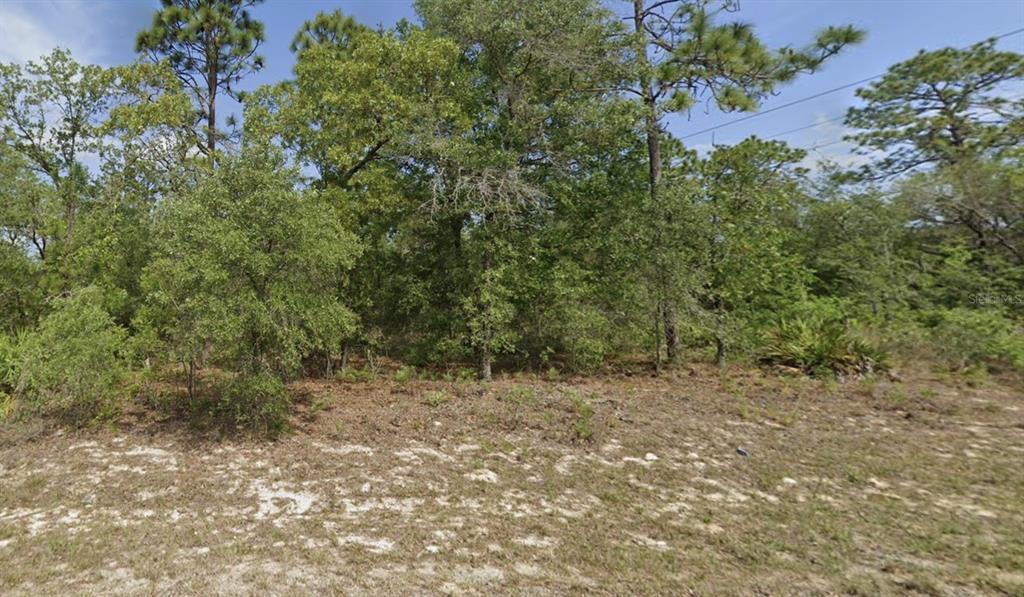 Property for sale at 6791 DARLINGTON DRIVE, CITRUS SPRINGS, FL, 34434
