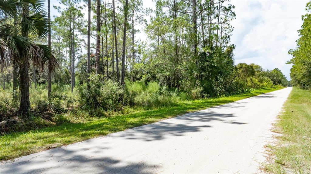 Property for sale at 5669 MANGO AVENUE, BUNNELL, FL, 32110