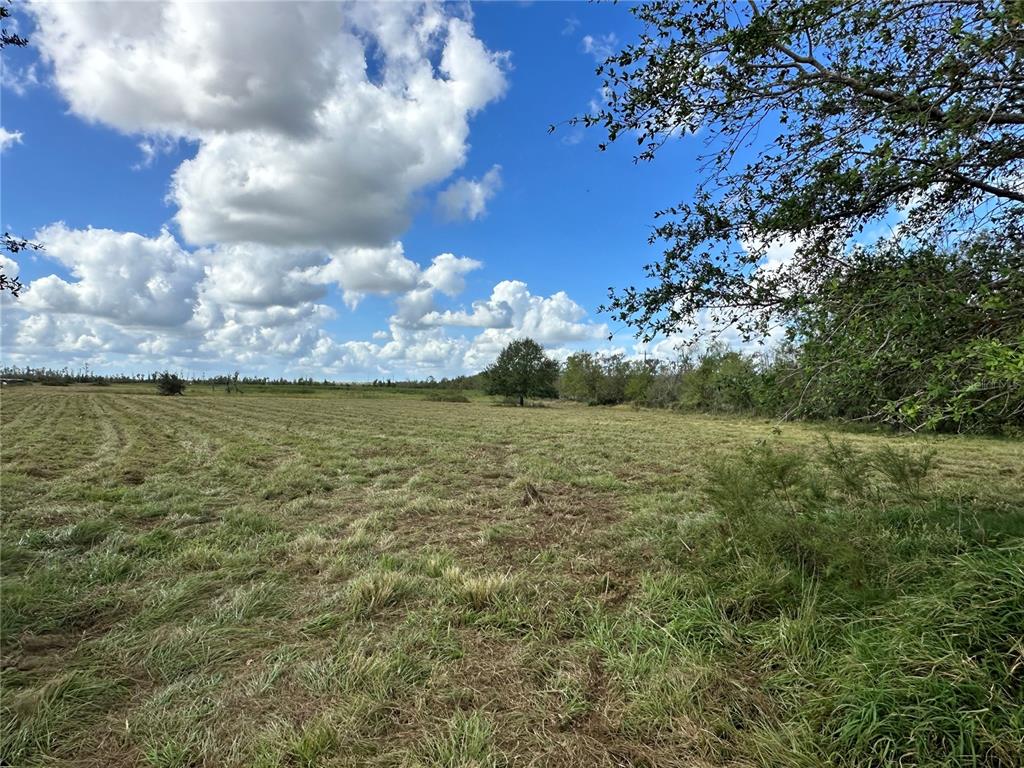 Property for sale at WAUCHULA ROAD, MYAKKA CITY, FL, 34251