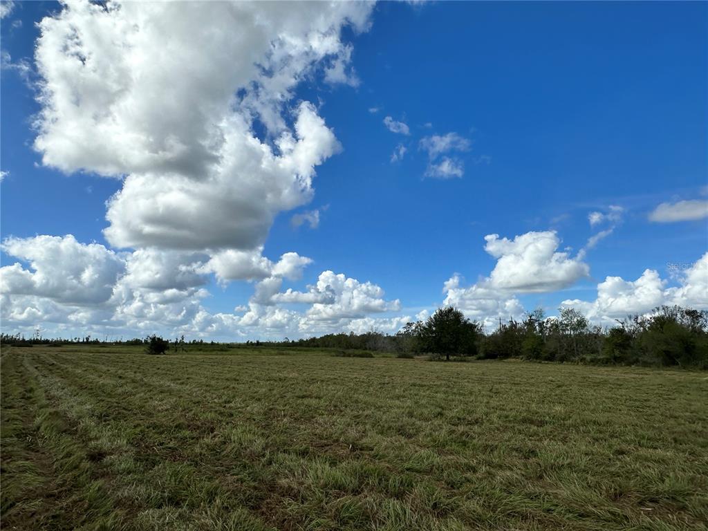 Property for sale at WAUCHULA ROAD, MYAKKA CITY, FL, 34251