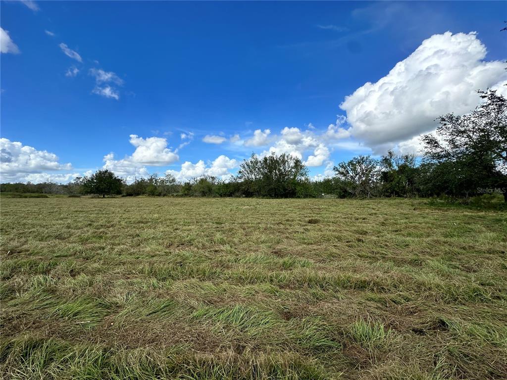 Property for sale at WAUCHULA ROAD, MYAKKA CITY, FL, 34251