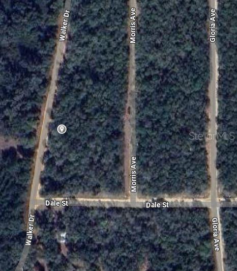 Property for sale at 00 WALKER DRIVE, INTERLACHEN, FL, 32148