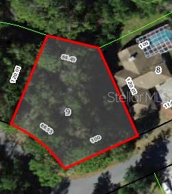 Property for sale at 24 WILD OLIVE COURT, HOMOSASSA, FL, 34446