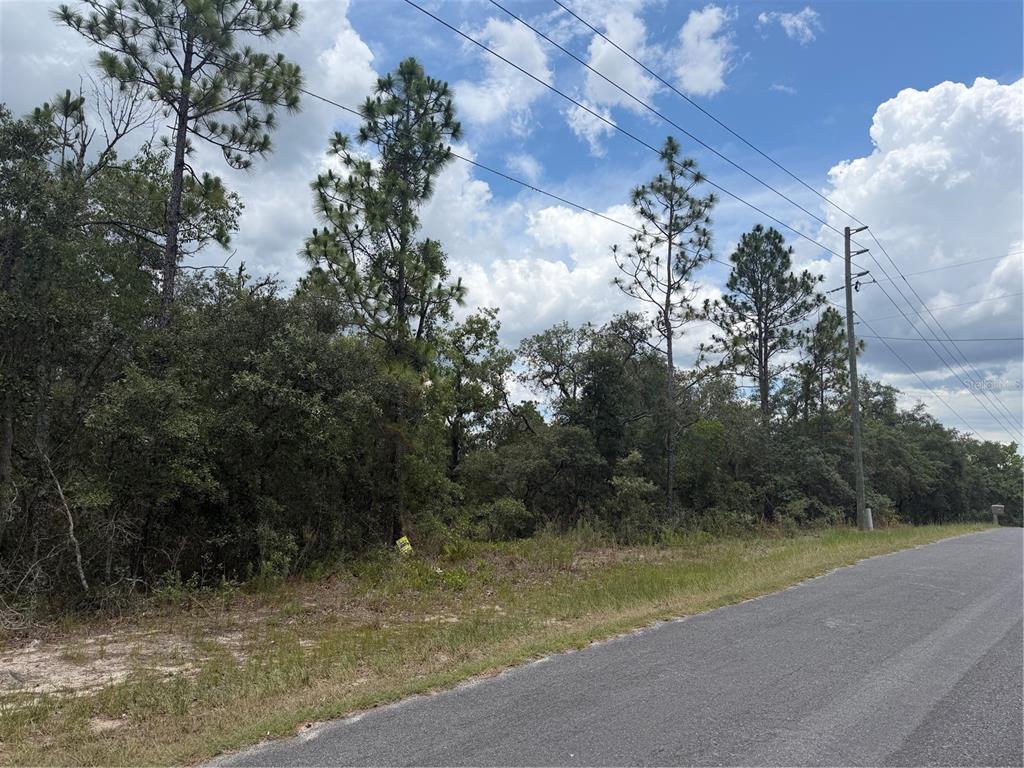 Property for sale at 6215 S PREMIERE AVENUE, HOMOSASSA, FL, 34446