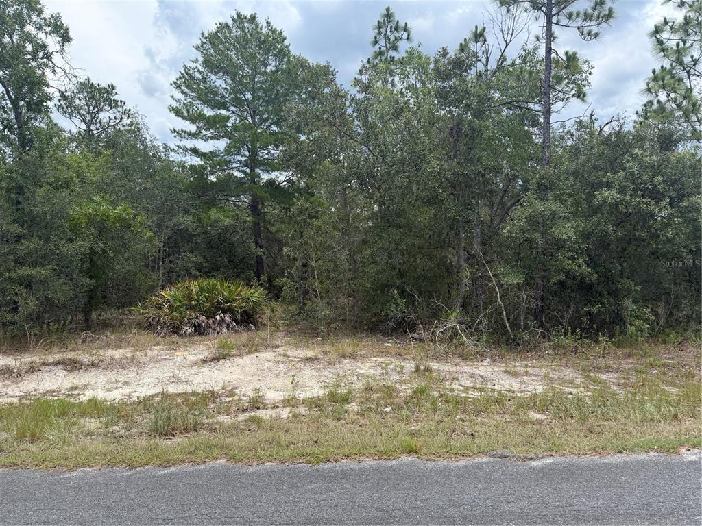 Property for sale at 6215 S PREMIERE AVENUE, HOMOSASSA, FL, 34446