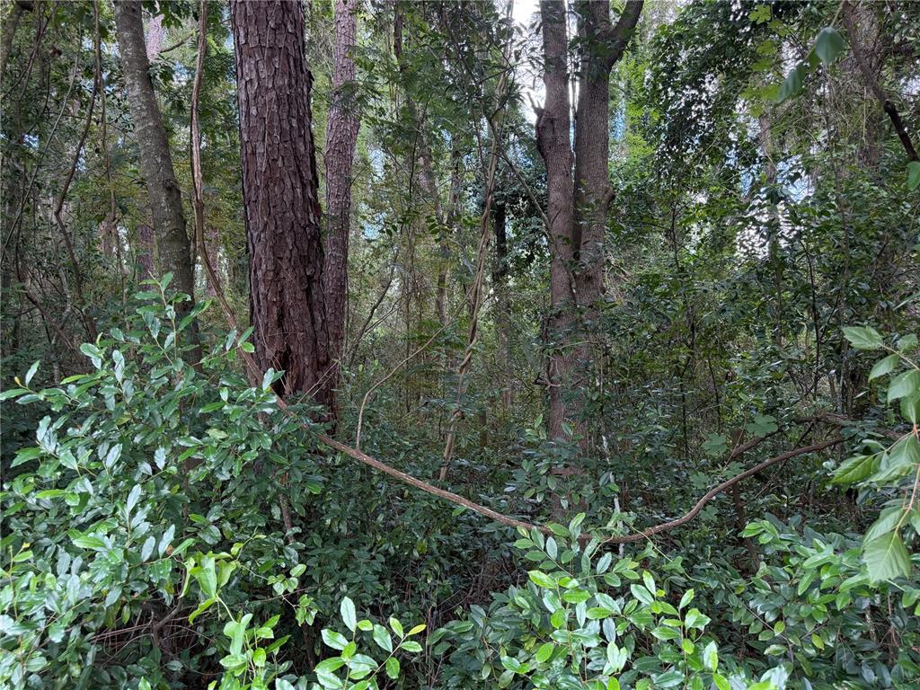 Property for sale at 1915 NW 34TH STREET, GAINESVILLE, FL, 32605